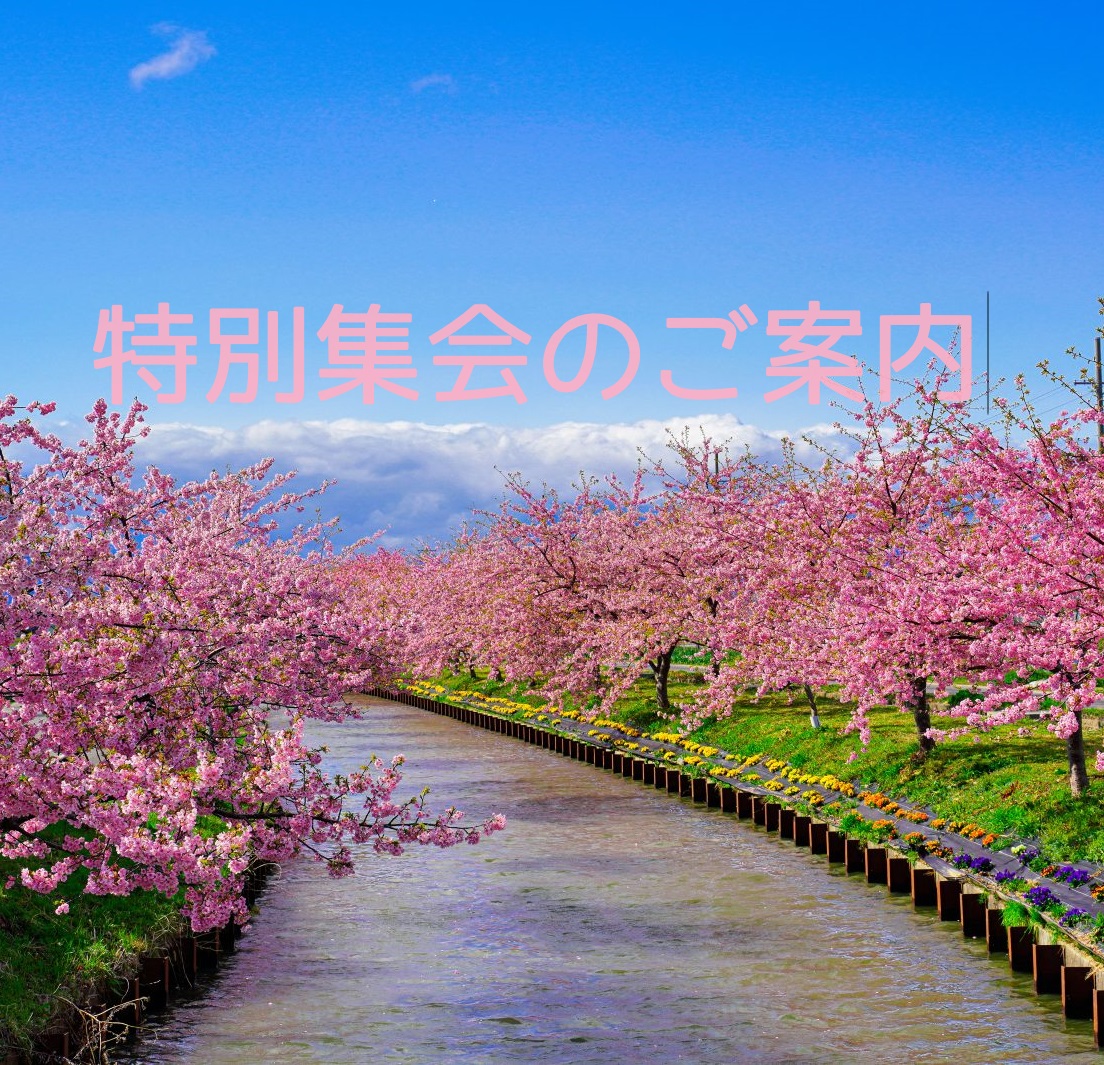 toku_spring