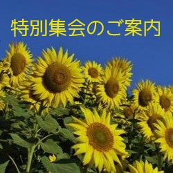 toku_summer